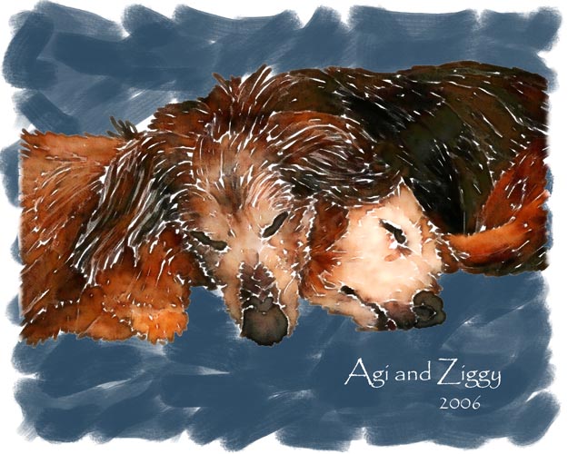 Agi and Ziggy were John's wife Beth's first dogs; John made this large art piece that captured a touching moment as the two dachshunds shared a nap.