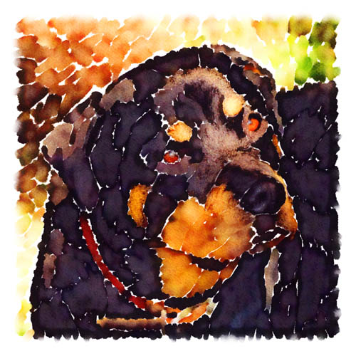 John's young neighbors asked if he could do a piece of pet art to memorialize their family's pet CJ, who recently passed away from cancer.  They gave this print to their dad on Father's Day.  The piece combines the styles of several of John's previous pieces of art, with emphasis placed on keeping the eyes and face around them the focus of the artwork.