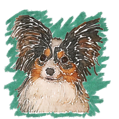 This head shot of Didi was done using a watercolor technique and was used for a 'Dogmother's Day' card.  John worked hard to capture Didi's expression as well as her distinctive ears in creating this piece of art.