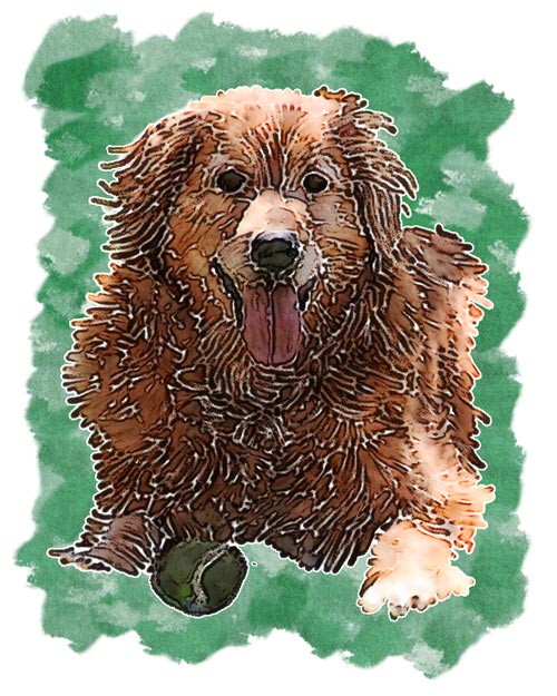 John created this artistic rendering of Golden Retriever Emma Marie Woodhouse as a memorial of her passing.