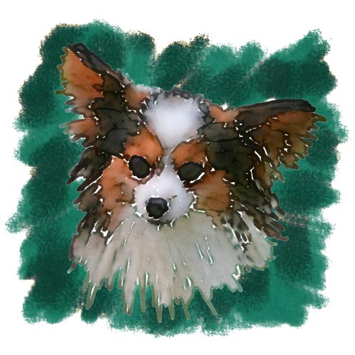 Jacque is a champion Papillon owned by Elisa Kamens, who bred John's own Didi.  John made this artwork from a photo he took at one of Elisa's Papillon Reunions.
