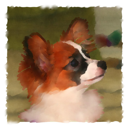 Portia, a young Papillon, is one of Didi's friends.  Here, John has rendered this piece of artwork by applying several layers of paint strokes above the original photograph.