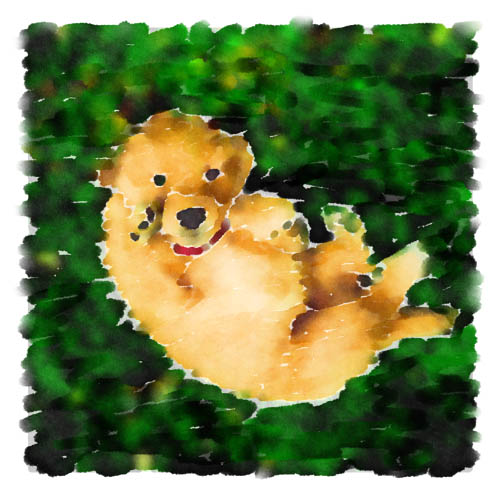 Emma Marie Woodhouse, portrayed here as a very young puppy, is a Golden Retriever named for the Jane Austen character.  Emma's portrait was scanned from an original photograph by her owner and then portrayed in watercolor via John's artwork.