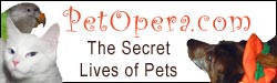 PetOpera.com: The Secret, Seedy Lives of Pets